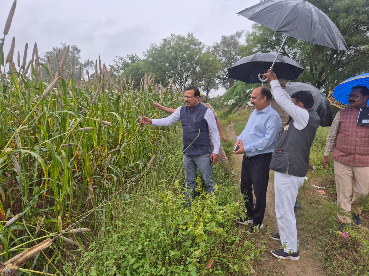 जिलाधिकारी ने समझा किसानों का दर्द , पहुंचे खेतों पर लिया नुक्सान हुयी फसलों का जायजा